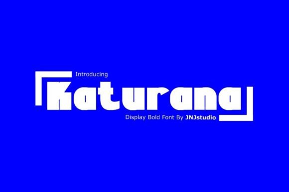 Katurana Sans Serif: An Unfiltered Designer Review
